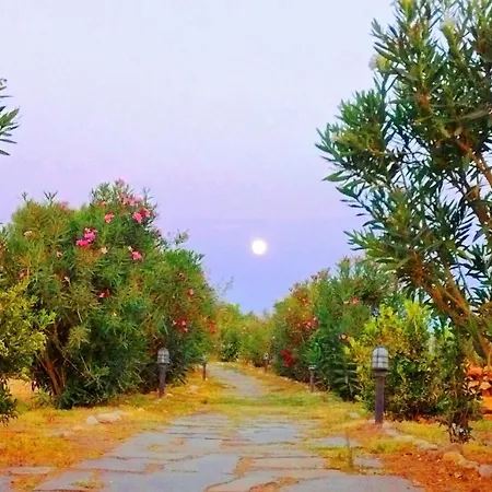 מלון Faros Small And Restaurant 3*