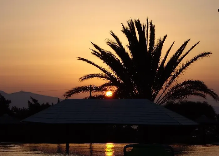 מלון Faros Small And Restaurant 3*