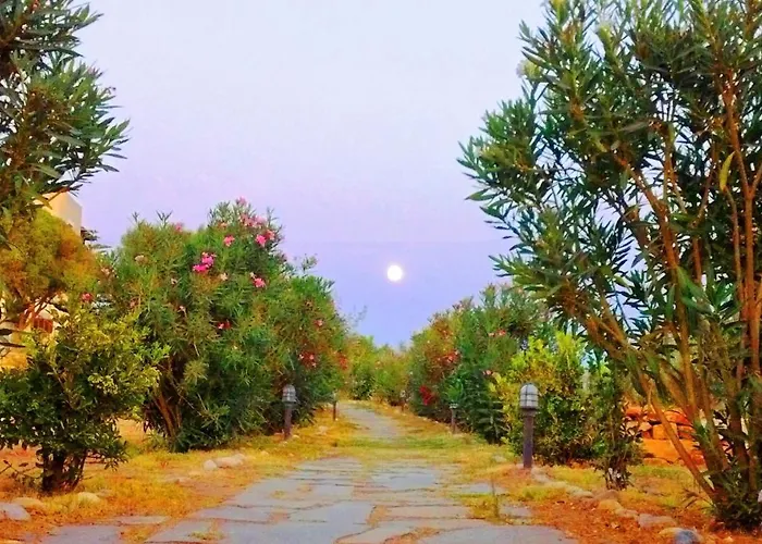 Hotel Faros Small And Restaurant 3*