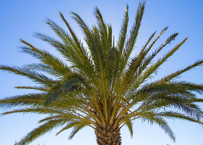 Hotel Faros Small And Restaurant